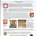 The Desert Rats Re-designation 7 ARMD  BDE to 7 INF BDE BFPS - Image 2