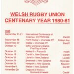 WRU Centenary Cardiff Arms Park_4506 (1) - Image 2