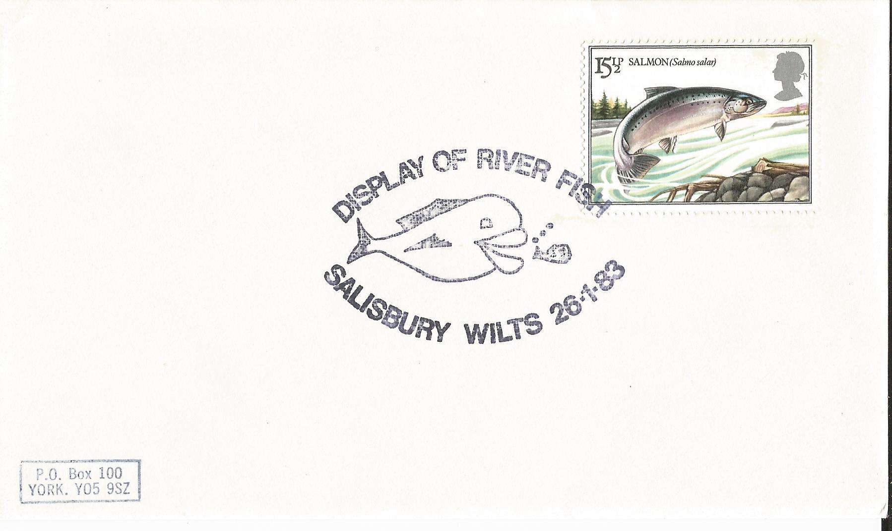 Display of River Fish Salisbury Wilts_5520