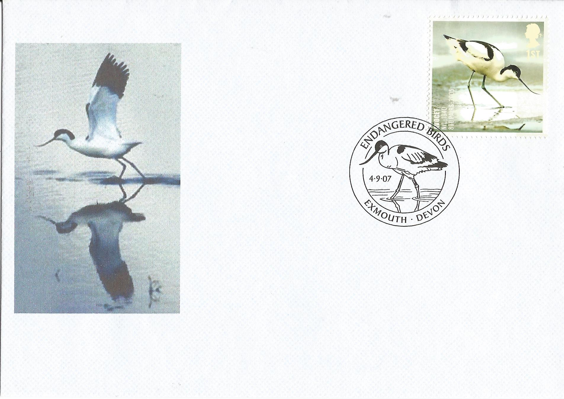 Endangered Birds Exmouth Devon