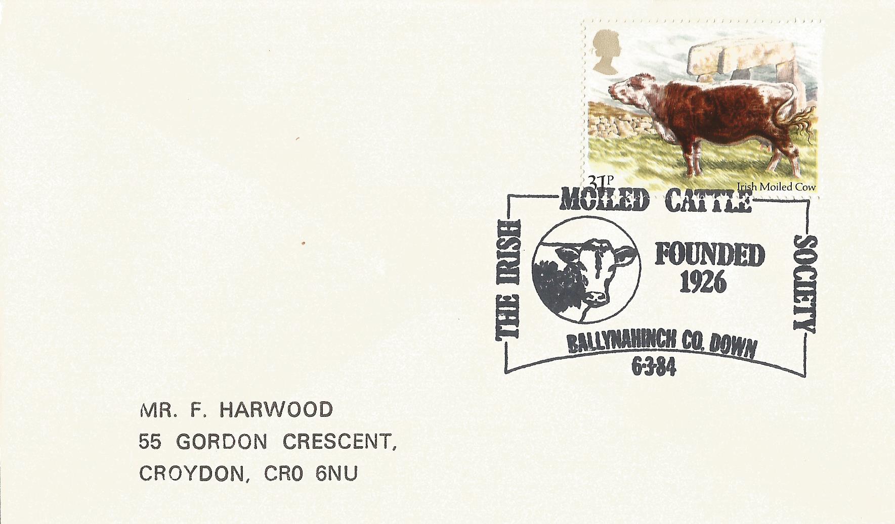 The Irish Moiled Cattle Society Founded 1926 Ballynaihinch Co Down_5895