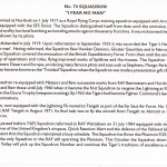 75th Anniversary of No 74 Squadron BFPS_8549 - Image 2