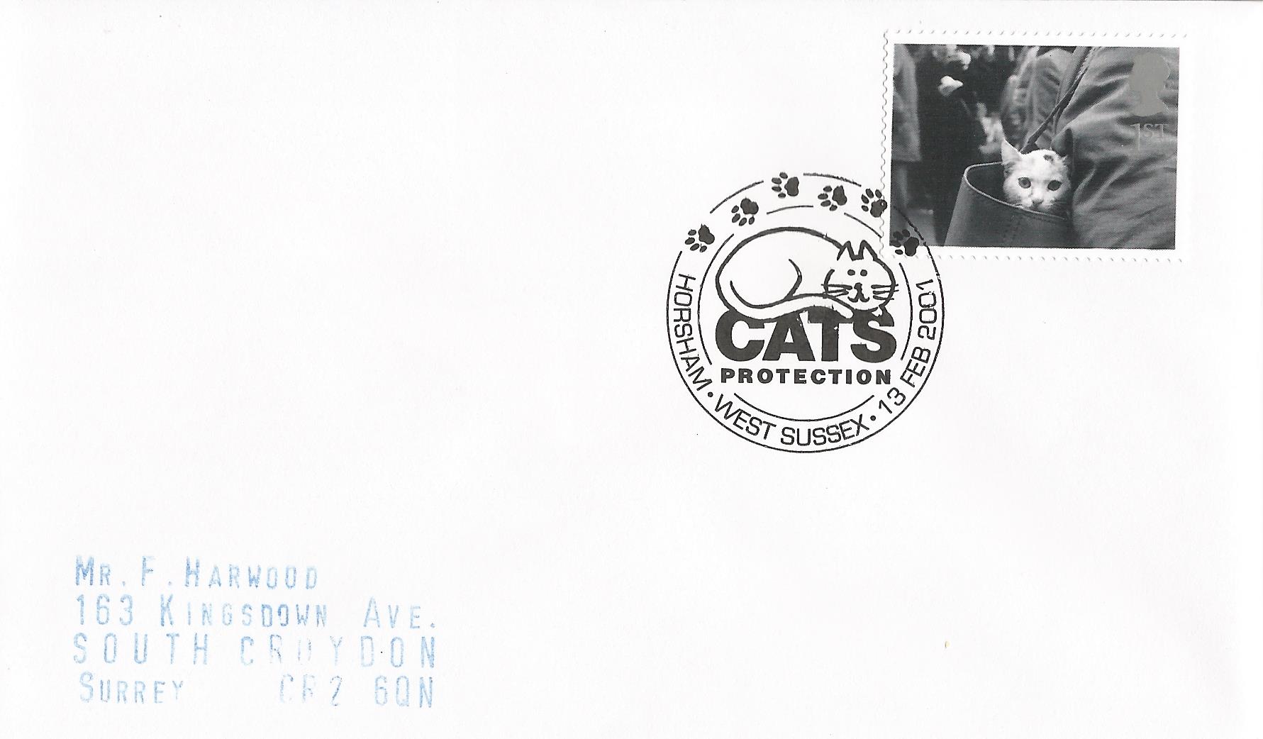 Cats Protection Horsham West Sussex_13127