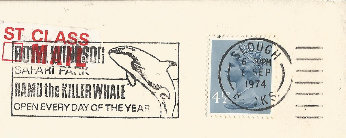 Royal Windsor Safari Park Ramu the Killer Whale Open Everyday of the Year_LP 1585 t (1)