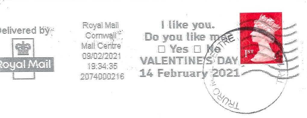 I Like You. Do you like me? Yes No Valentines Day 14 February 2021
