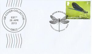 River Wildlife Damselfly Road Ipswich