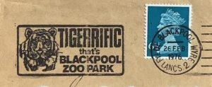 Tigerrific that's Balckpool Zoo Park _LP 1730t