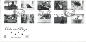 Cats & Dogs Barking Ipswich_13110 (1)