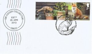 Garden Wildlife Fox Lane Leicester