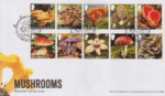Marvellous Mycology Hilltop Farm Near Sawrey Ambleside