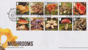 Marvellous Mycology Hilltop Farm Near Sawrey Ambleside