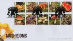 Mushrooms Mushroom Street Leeds
