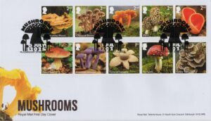 Mushrooms Mushroom Street Leeds